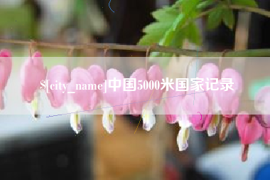 淇县中国5000米国家记录