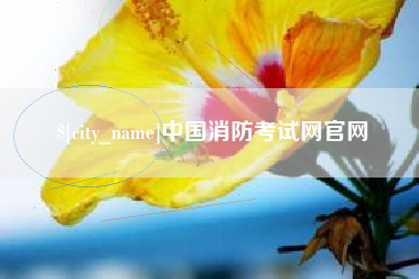 淇县中国消防考试网官网