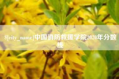 淇县中国消防救援学院2020年分数线