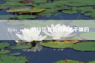 淇县执行信息公开网是干嘛的