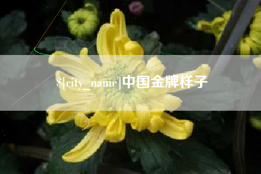 淇县中国金牌样子