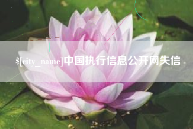 淇县中国执行信息公开网失信
