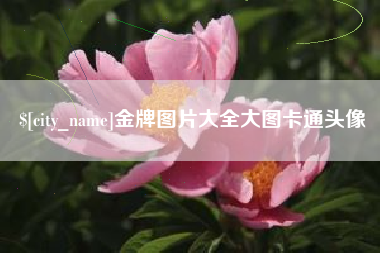 淇县金牌图片大全大图卡通头像