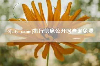 淇县执行信息公开网查询免费
