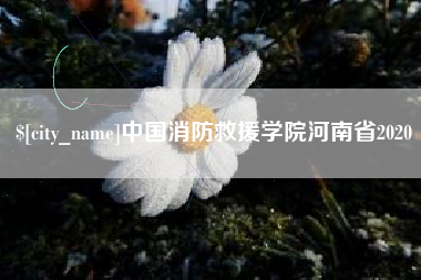 淇县中国消防救援学院河南省2020